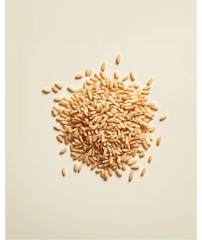 Essential